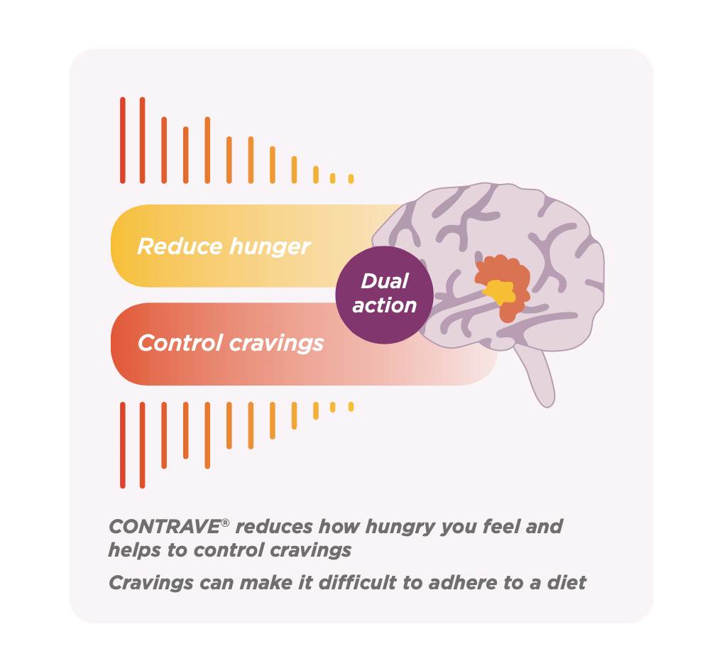 - Reduce Hunger / Control Cravings